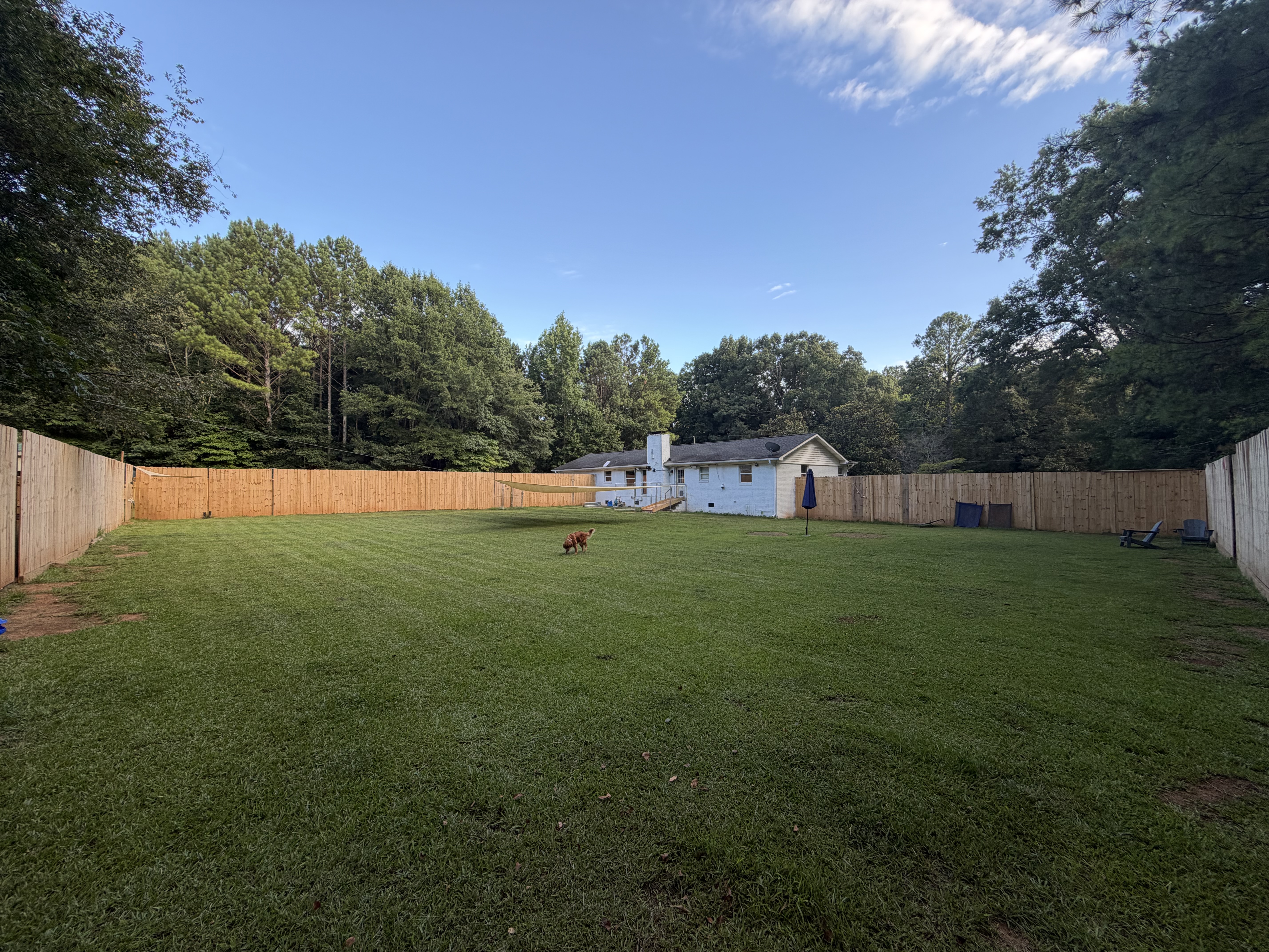 Dog Friends spacious fenced backyard in Rome, Georgia