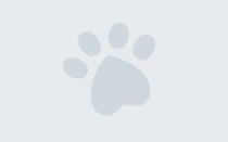 Kaiser profile photo