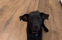 Daisy profile photo