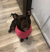 Raven profile photo