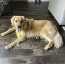 Max profile photo