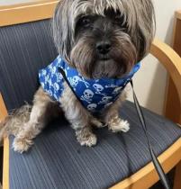 Oliver profile photo