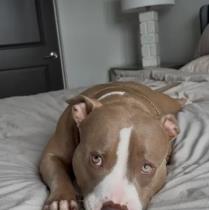 Tati profile photo