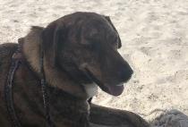 Hopper profile photo