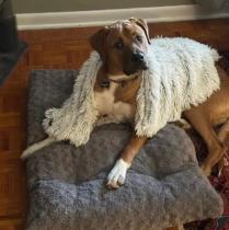 Hank profile photo