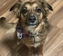 Jersey profile photo