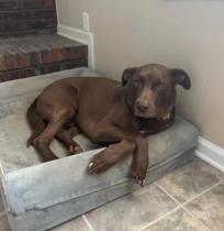 Moose R. profile photo