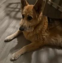 Hazel profile photo
