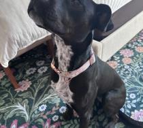 Riley profile photo