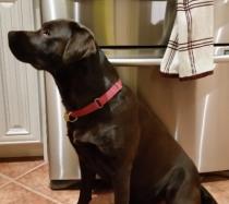 Cooper profile photo
