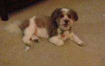 Tuffy profile photo