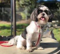 Mulan profile photo