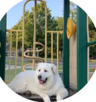 Leo profile photo