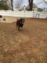 Layla profile photo