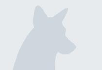 Sassy profile photo