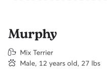 Murphy profile photo
