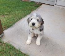 Theo profile photo