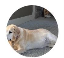 Marigold profile photo