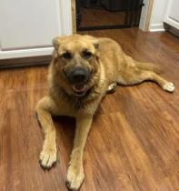 Marlee profile photo