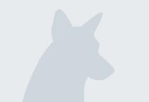 Bruce Willis profile photo