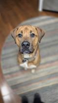Hank profile photo