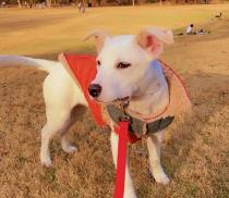 Aspen profile photo