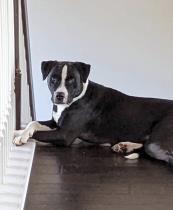 Phife profile photo