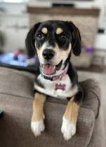 Molly profile photo