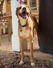 Hope profile photo
