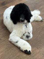 Jack profile photo