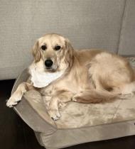 Islay profile photo