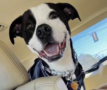 Baxley profile photo