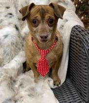 Frank profile photo