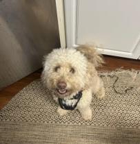 Cedric profile photo
