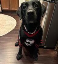 Lucy profile photo