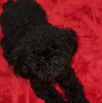 Caviar profile photo