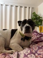 Clover Peters profile photo