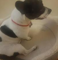 Clover profile photo