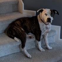 Otis profile photo