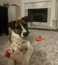 Cash profile photo