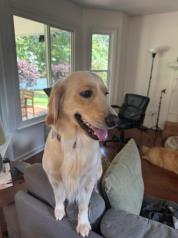 Bailey profile photo
