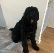 Oakley profile photo