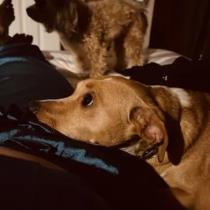 Oscar profile photo